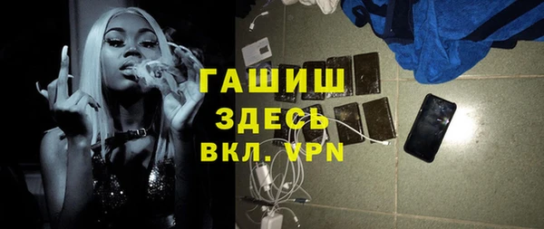 индика Алексин