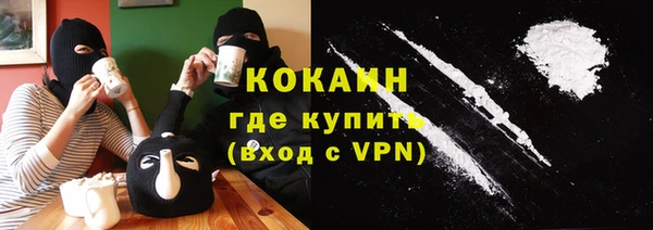 индика Алексин