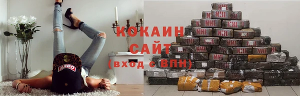 индика Алексин
