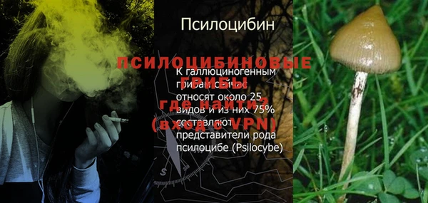 индика Алексин