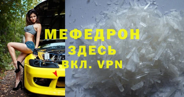 индика Алексин